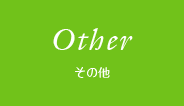 Other その他